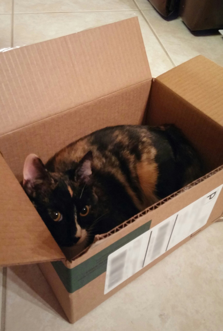 What’s in the Box? Unboxing the&nbsp;Goods!