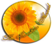 The Sunshine Award&nbsp;Nomination!